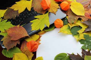autumn leaves on a laptop