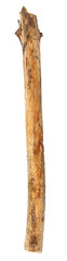 Naklejka premium Tree branch