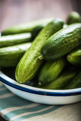 bowl with fresh cucumbers