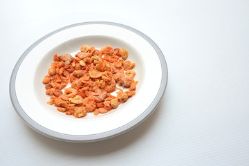 dried shrimp in dish
