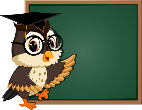 illustration of Owl teacher at blackboard