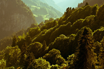 Naklejka na ściany i meble Swiss mountains - Bernese Alps in summer, Switzerland, Berner Oberland