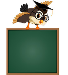 Obraz premium illustration of Owl teacher at blackboard