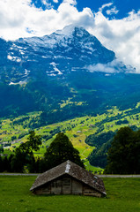 Fototapeta na wymiar Mount Eiger view, Swiss mountains - Bernese Alps in summer, Switzerland, Berner Oberland