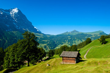 Fototapeta na wymiar Mount Eiger view, Swiss mountains - Bernese Alps in summer, Switzerland, Berner Oberland