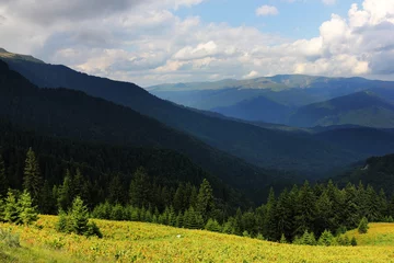 Foto op Aluminium Alpine landscape in Bucegi Mountains, Romania, Europe © Rechitan Sorin
