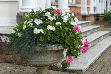 East Grinstead in Bloom