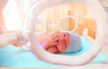 newborn baby lying inside the infant incubator in hospital, sucking fingers - obrazy, fototapety, plakaty