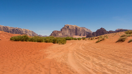 Fototapeta na wymiar Wadi Rum desert - Valley of the Moon in Jordan. UNESCO World Her