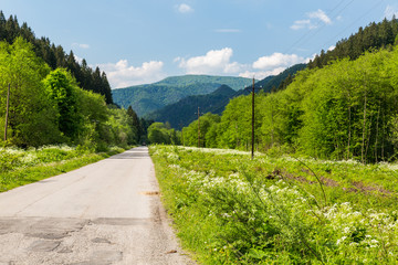 Obraz premium Nature in Lubochna valley near Ruzomberok in Slovakia
