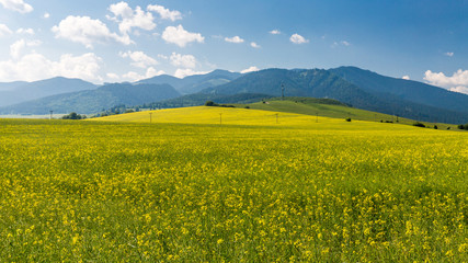 Nature in Liptov region, Slovakia in summer 2015
