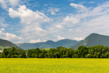 Nature in Liptov region, Slovakia in summer 2015