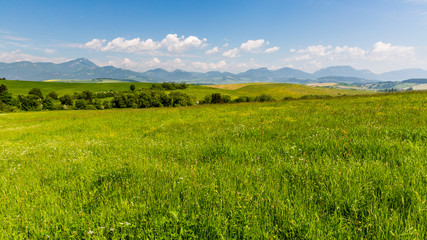 Nature in Liptov region, Slovakia in summer 2015