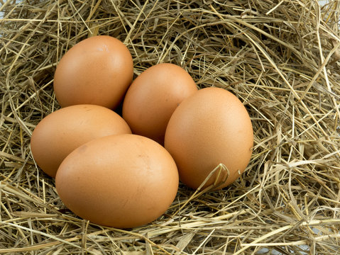 Five Egg on a haystack