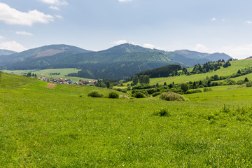 Fototapeta na wymiar Nature in Liptov region, Slovakia in summer 2015
