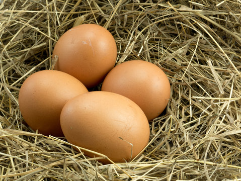 Four Egg on a haystack