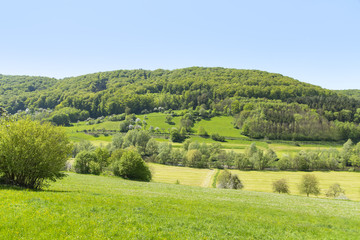 rural springtime scenery