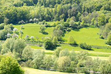 rural springtime scenery
