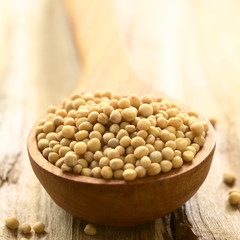 Weiße Senfkörner auf Holzlöffel, fotografiert mit natürlichem Licht (Selektiver Fokus, Fokus in die Mitte der Senfkörner)