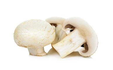 Fototapeta na wymiar Champignon mushroom isolated on white
