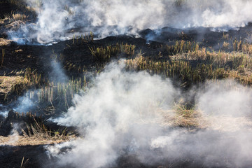 Burning dry grass on field