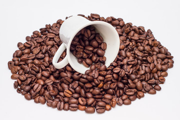 Roasted Coffee Beans