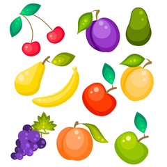 Fruit vector set isolated on white. Pear, banana grapes, peach, avocado and apricot. Sweet fruits illustration.