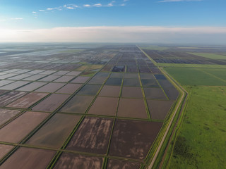 Flooded rice paddies. Agronomic methods of growing rice in the fields.