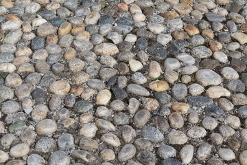 Round stones in the ground