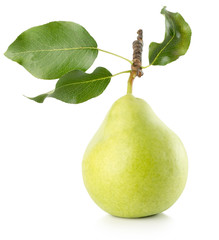 green pears isolated on the white background