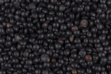 black lentils background closeup