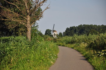 wiatrak © sorensen15