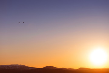 White clouds over blue sky with birds