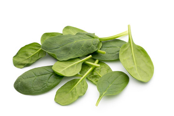 Spinach on the isolated white.