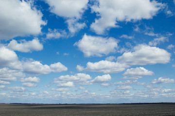 Blue sky background with soft silky clouds and strip yellow field.