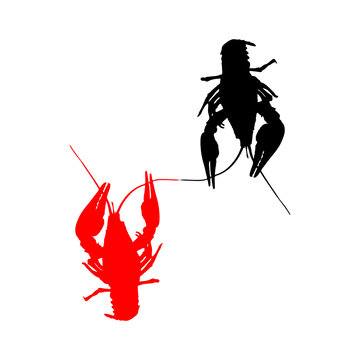 Crawfish silhouette. Vector illustration.