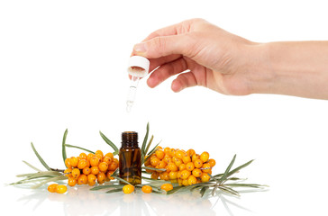 Bunch  sea buckthorn and  bottle  oil from  berries.