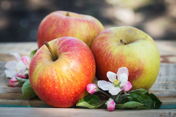 Ripe apples on a wooden table