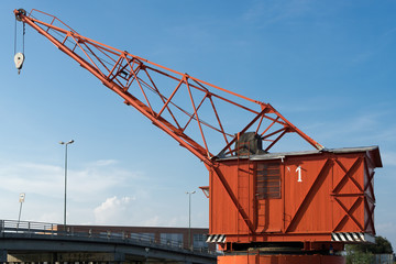Fototapeta na wymiar Red crane in Venice