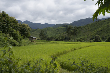 Remote Hmong Village