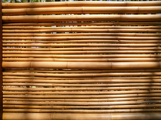 Bamboo Wall