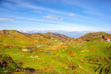 Green highland in Tenerife, Canary Islands