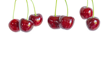 Hanging berries of sweet cherry on a white background