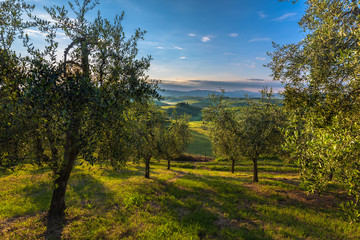 Fototapeta na wymiar Tuscan hills and spring landscape.