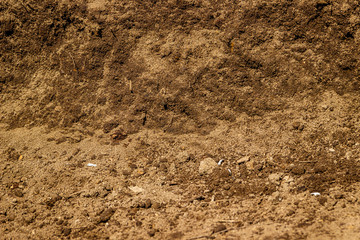 Black soil background