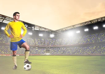 Foto op Plexiglas soccer or football player is standing on stadium © Sergey Peterman
