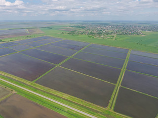 Flooded rice paddies. Agronomic methods of growing rice in the fields.