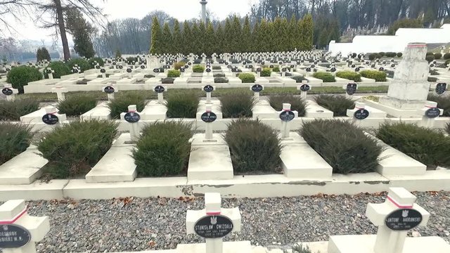 Polish Grave in Lviv. White Crosses and Flowers on the Graves. the Camera Flies Over the Graves of Those Killed in the War Poles. the Crosses Are Decorated With Penta Polish Flag. Grey Sad Weather.