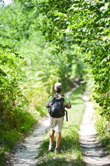 Obraz premium Little boy walking alone in forest, France