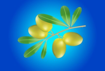 Illustration of Olive branch on blue background
